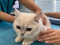-美迦爱-牙专科·兔科·骨科诊疗中心(北苑店)