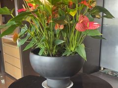 -冰火楼(梦泽园店)