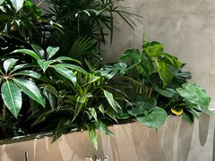 -万达广场(泰安泰山店)