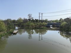 -上海长兴岛郊野公园