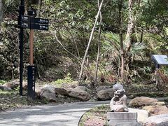 -天目山大树王景区