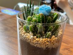 -Fridi Patisserie Cafe