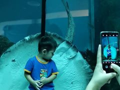 -乐从天佑城海洋馆
