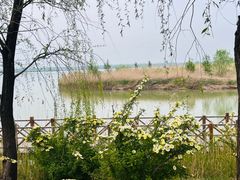 -野鸭湖国家湿地公园