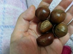 -粒上皇(悦荟广场店)