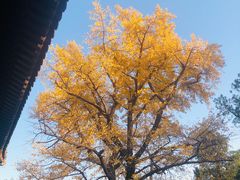 -红螺寺