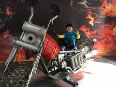 -上海长兴岛郊野公园