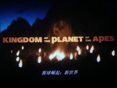 -华联影城(蒙城路店)