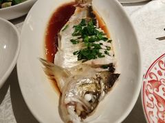 -金美华轩(东方路齐鲁店)