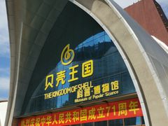 -贝壳王国博物馆