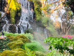 -Chom Cafe and Restaurant