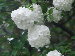 -白塘生态植物园
