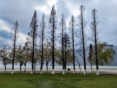 -滇池海埂公园