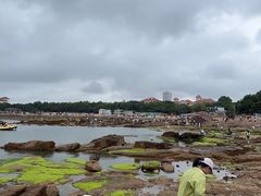 -青岛第二海水浴场