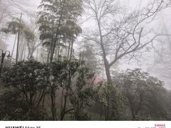 -莫干山风景区