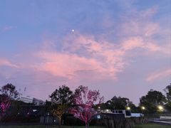 -成都娃娃花园餐厅 (南艺旗舰店)