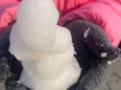 -北京鹿世界主题园