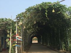 -北戴河集发农业梦想王国