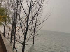 -观澜小洱海