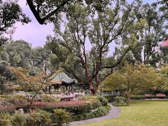 -申粤轩酒楼·三十年粤菜经典(丁香花园店)