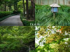 -杭州植物园