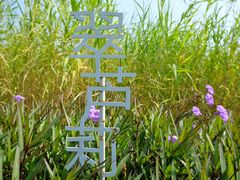 -深圳湾公园(南山区)