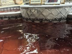 -碧水湾温泉