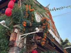 -香满楼(临安路店)