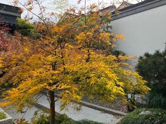 -雅达·阳羡溪山小镇中心