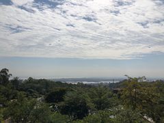 -广州莲花山旅游区