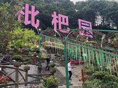 -枇杷园食为鲜火锅(南山店)