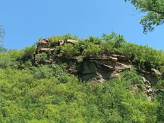 -白水寺森林公园