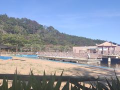-广东惠东海龟国家级自然保护区