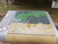 -黑龙江省森林植物园