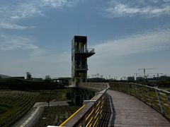 -春花秋色城市公园