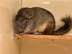 -龙猫仔乐园(惠福东路店)