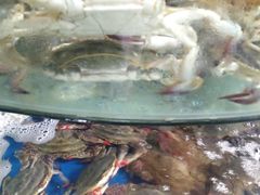 -蓝珊甄选海鲜自助·火锅大排档(近阿那亚店)