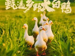-张烤鸭·川菜·非遗冒烤鸭(青石桥店)