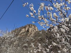 -大岭沟猕猴桃谷风景区