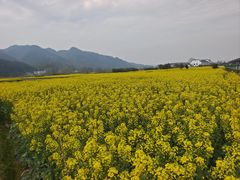 -新安江山水画廊风景区