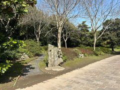 -上海滨江森林公园
