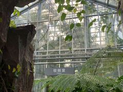 -国家植物园南园