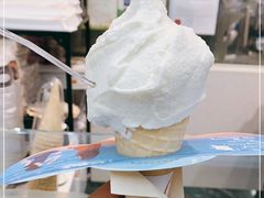 -野人先生现做冰淇淋(西安赛格店)
