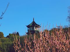 -无锡梅园公园