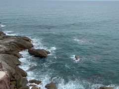 -广东惠东海龟国家级自然保护区