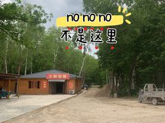 -茅兰沟国家森林公园