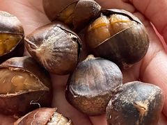 -金栗王(清扬路店)