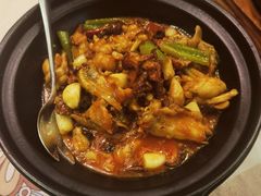 黑松露牛肝菌焖牛蛙-云海肴·汽锅鸡·云南菜(美罗城店)