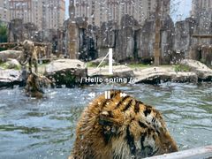 -上海野生动物园