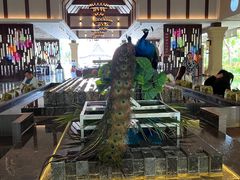 -西双版纳融创皇冠假日度假酒店
